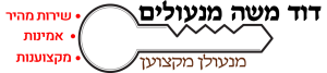 לוגו - דוד מנעולן