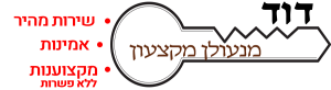 לוגו - דוד מנעולן
