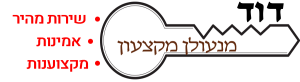 לוגו - דוד מנעולן
